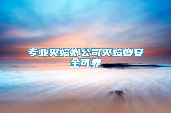 專業(yè)滅蟑螂公司滅蟑螂安全可靠
