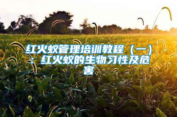 紅火蟻管理培訓(xùn)教程（一）：紅火蟻的生物習(xí)性及危害