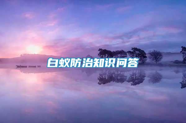 白蟻防治知識(shí)問答