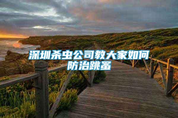 深圳殺蟲公司教大家如何防治跳蚤
