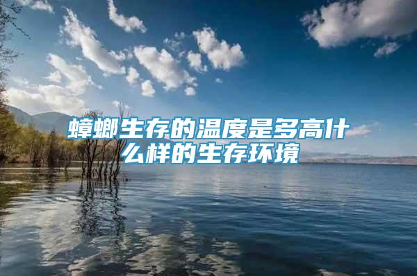 蟑螂生存的溫度是多高什么樣的生存環(huán)境