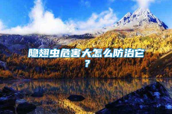 隱翅蟲危害大怎么防治它？