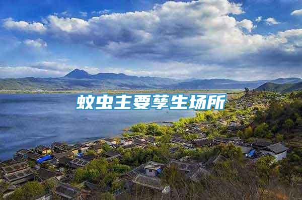 蚊蟲主要孳生場所