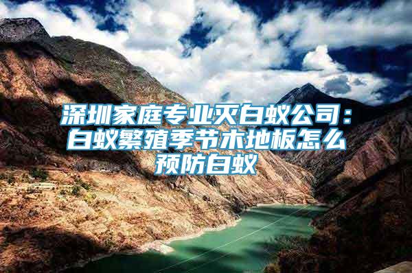 深圳家庭專(zhuān)業(yè)滅白蟻公司：白蟻繁殖季節(jié)木地板怎么預(yù)防白蟻