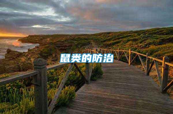 鼠類的防治