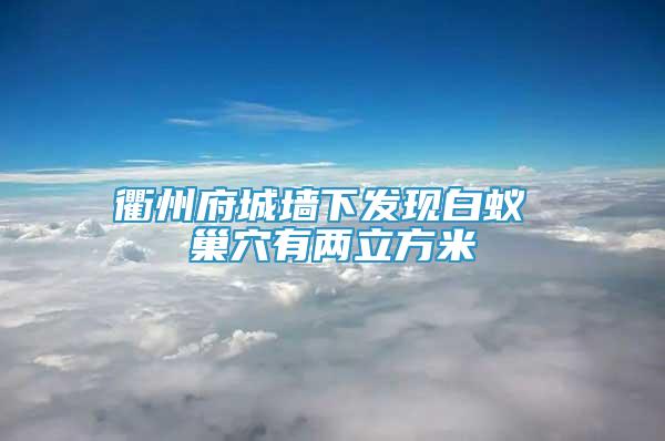 衢州府城墻下發(fā)現(xiàn)白蟻 巢穴有兩立方米