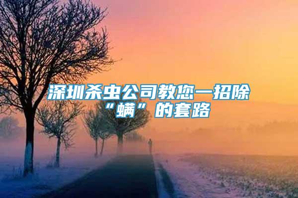 深圳殺蟲公司教您一招除“螨”的套路