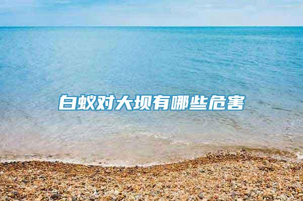 白蟻對(duì)大壩有哪些危害