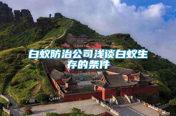 白蟻防治公司淺談白蟻生存的條件