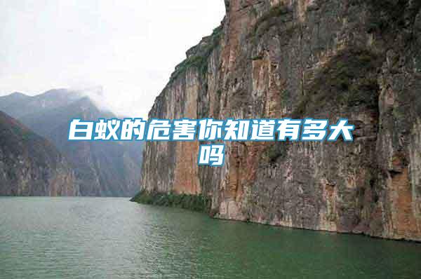 白蟻的危害你知道有多大嗎