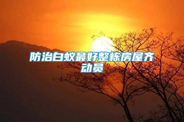 防治白蟻?zhàn)詈谜麠澐课蔟R動員