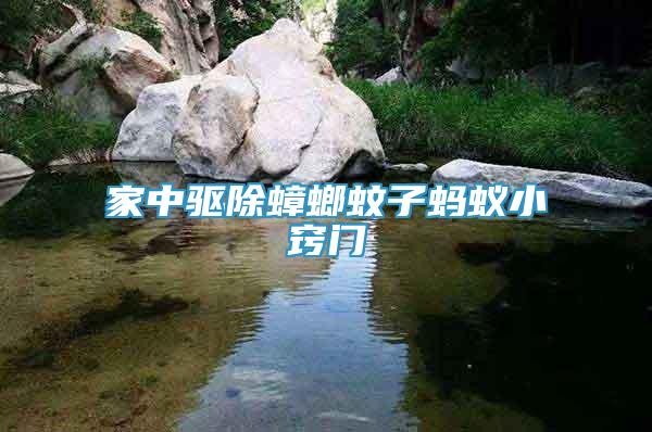 家中驅(qū)除蟑螂蚊子螞蟻小竅門