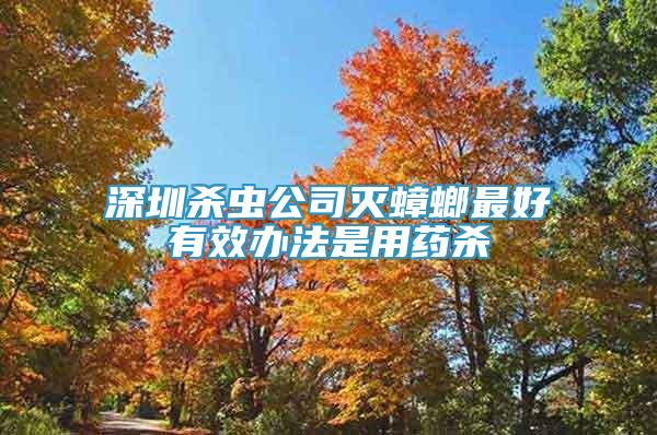 深圳殺蟲公司滅蟑螂最好有效辦法是用藥殺