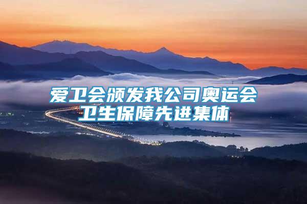 愛衛(wèi)會頒發(fā)我公司奧運會衛(wèi)生保障先進集體
