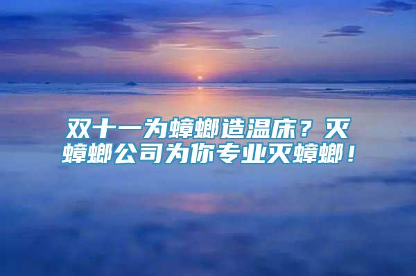 雙十一為蟑螂造溫床？滅蟑螂公司為你專業(yè)滅蟑螂！