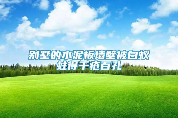別墅的水泥板墻壁被白蟻蛀得千瘡百孔