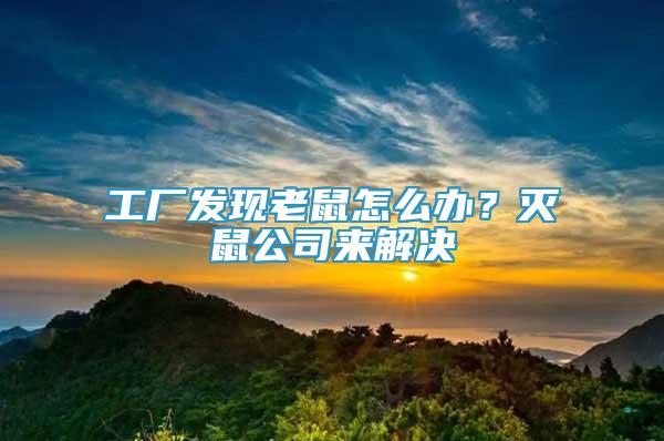 工廠發(fā)現(xiàn)老鼠怎么辦？滅鼠公司來解決