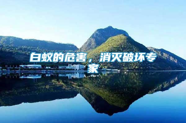 白蟻的危害，消滅破壞專家