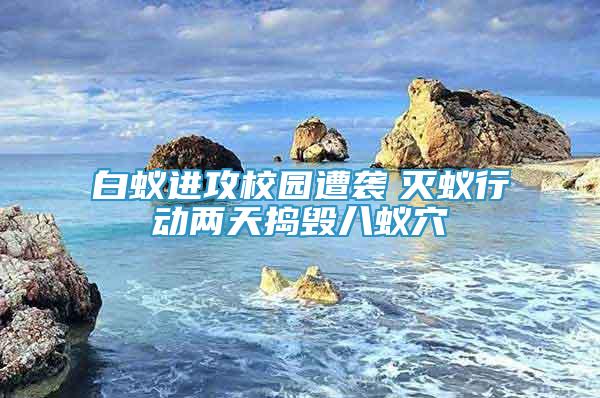 白蟻進(jìn)攻校園遭襲　滅蟻行動(dòng)兩天搗毀八蟻穴