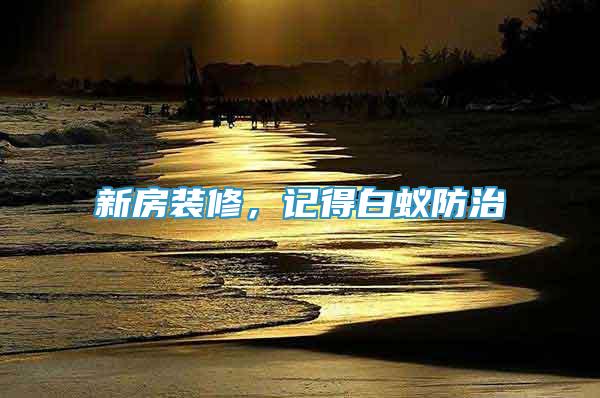新房裝修，記得白蟻防治