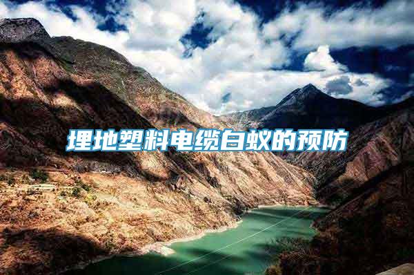 埋地塑料電纜白蟻的預(yù)防
