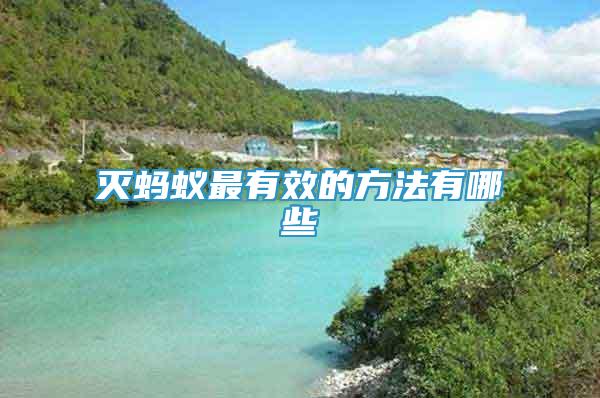 滅螞蟻最有效的方法有哪些