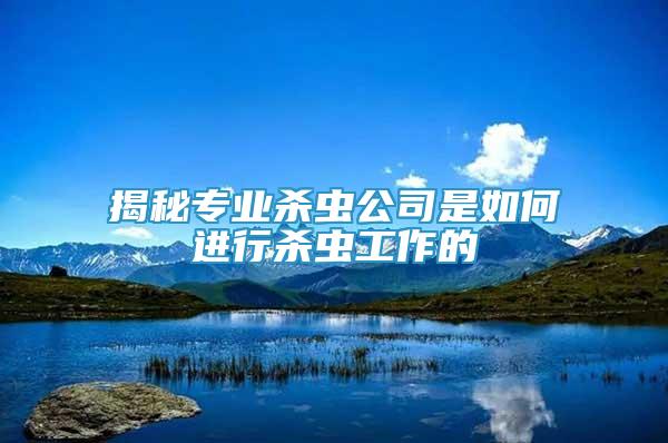 揭秘專(zhuān)業(yè)殺蟲(chóng)公司是如何進(jìn)行殺蟲(chóng)工作的