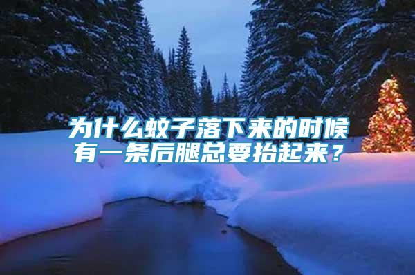 為什么蚊子落下來的時候有一條后腿總要抬起來？