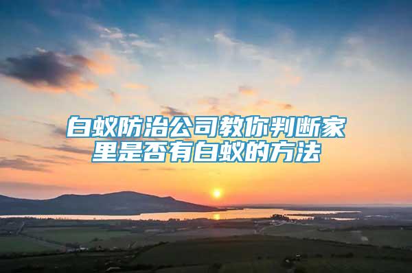 白蟻防治公司教你判斷家里是否有白蟻的方法