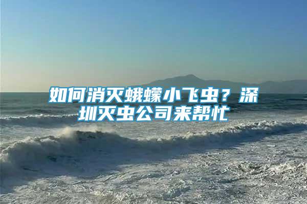 如何消滅蛾蠓小飛蟲？深圳滅蟲公司來(lái)幫忙