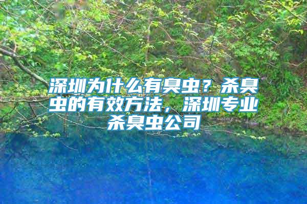 深圳為什么有臭蟲？殺臭蟲的有效方法，深圳專業(yè)殺臭蟲公司