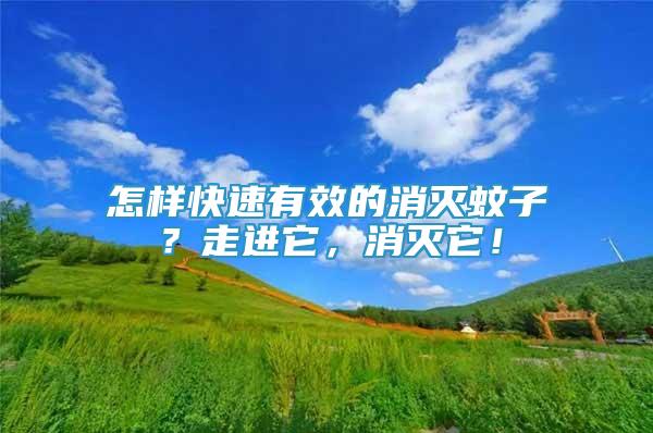 怎樣快速有效的消滅蚊子？走進它，消滅它！