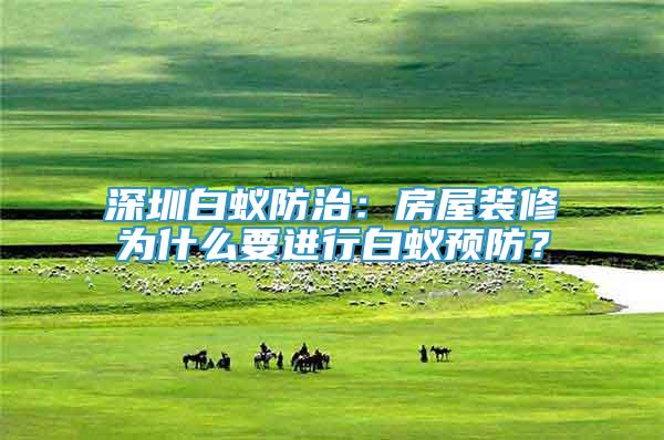 深圳白蟻防治：房屋裝修為什么要進(jìn)行白蟻預(yù)防？