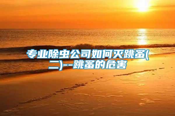 專業(yè)除蟲公司如何滅跳蚤(二)--跳蚤的危害