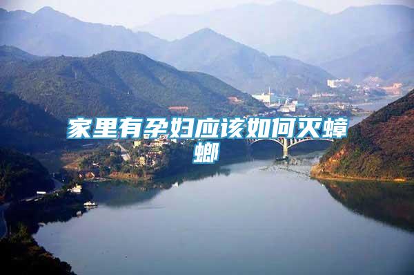 家里有孕婦應(yīng)該如何滅蟑螂