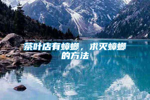 茶葉店有蟑螂，求滅蟑螂的方法