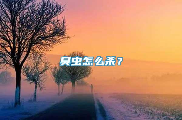 臭蟲怎么殺？