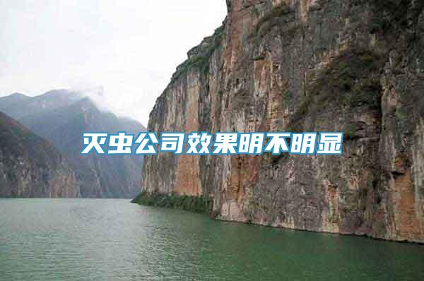 滅蟲公司效果明不明顯