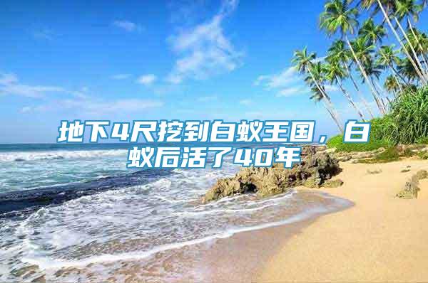 地下4尺挖到白蟻王國，白蟻后活了40年