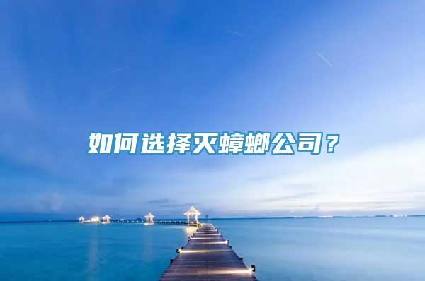 如何選擇滅蟑螂公司？