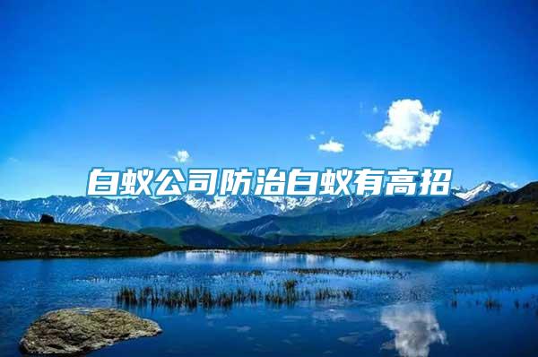 白蟻公司防治白蟻有高招