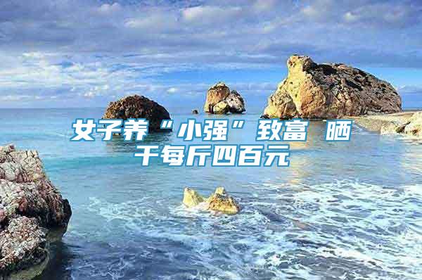 女子養(yǎng)“小強(qiáng)”致富 曬干每斤四百元