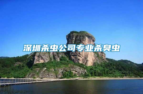 深圳殺蟲(chóng)公司專業(yè)殺臭蟲(chóng)