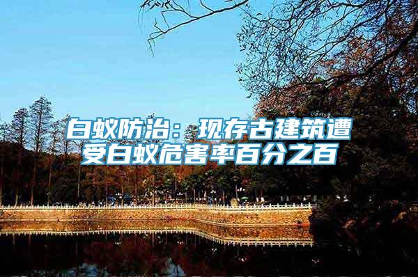 白蟻防治：現(xiàn)存古建筑遭受白蟻危害率百分之百
