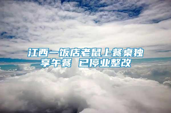 江西一飯店老鼠上餐桌獨享午餐 已停業(yè)整改