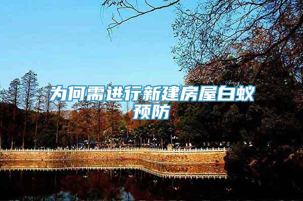 為何需進行新建房屋白蟻預防
