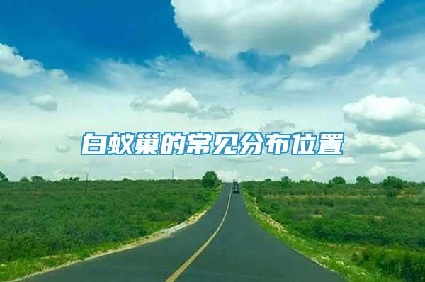 白蟻巢的常見分布位置