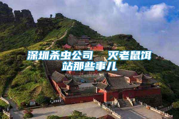 深圳殺蟲公司  滅老鼠餌站那些事兒