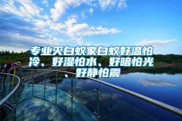 專業(yè)滅白蟻家白蟻好溫怕冷、好濕怕水、好暗怕光、好靜怕震