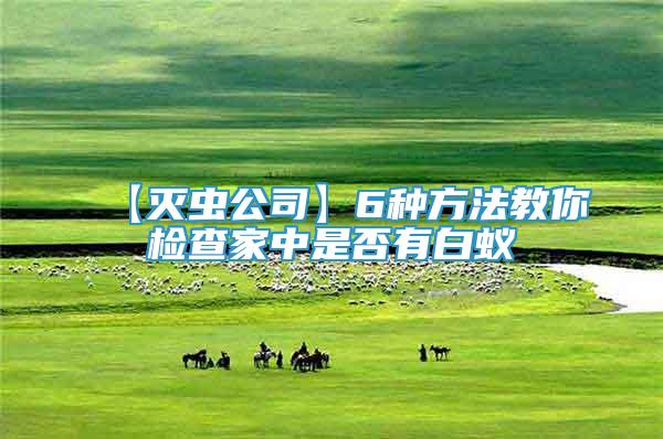 【滅蟲公司】6種方法教你檢查家中是否有白蟻